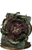 dorhys_gnawing-icon.png