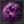 icon poisonres.png