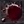 icon wp bleed