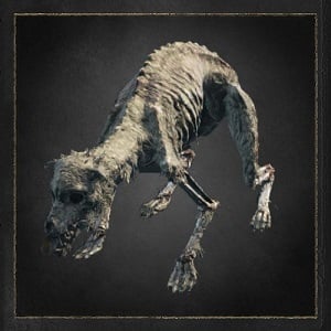 starved hound dark souls 3 wiki guide