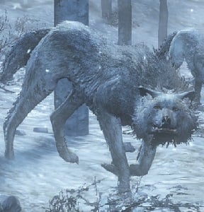 wolf-enemies-dark-souls-3-wiki-guide